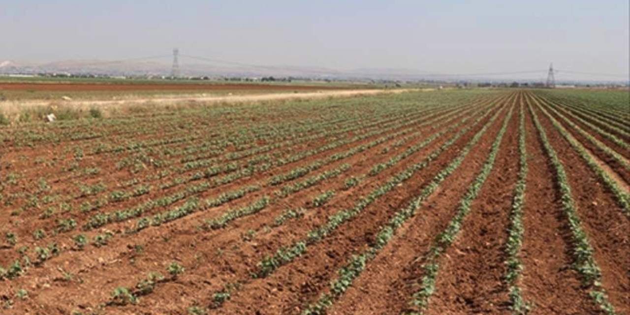 Gübre İhracatı