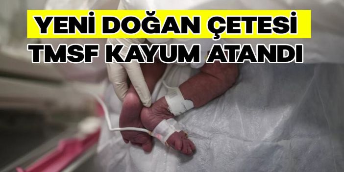 Yenidoğan Çetesi" Bağlantılı 13 Hastane ve 3 Şirkete TMSF Kayyum Olarak Atandı