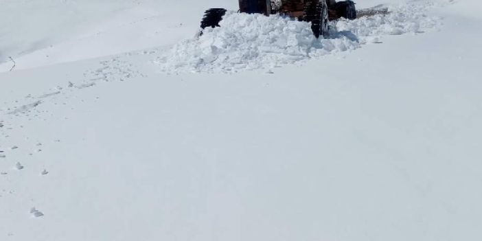 Çanakkale'de Kar Yağışı Eğitime Ara Verdiren İlçeler: Yenice ve Çan'da Taşımalı Eğitim Tatil Edildi