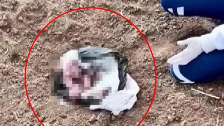 Şırnak'ta Şok Eden Olay: Yenidoğan Kız Bebek Poşet İçinde Araziye Atılmış Halde Bulundu