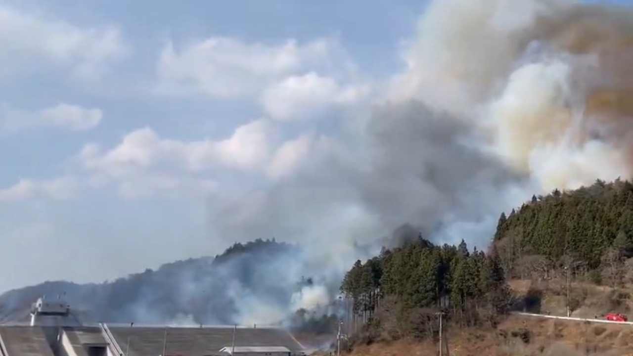 Japonya'da 5 Günlük Orman Yangını 1800 Hektar Alanı Kül Etti