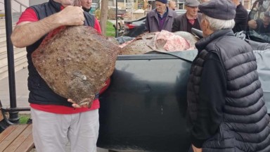 Sinop'ta Kaçak Avlanan 200 Kalkan Balığı Vatandaşlara Ücretsiz Dağıtıldı