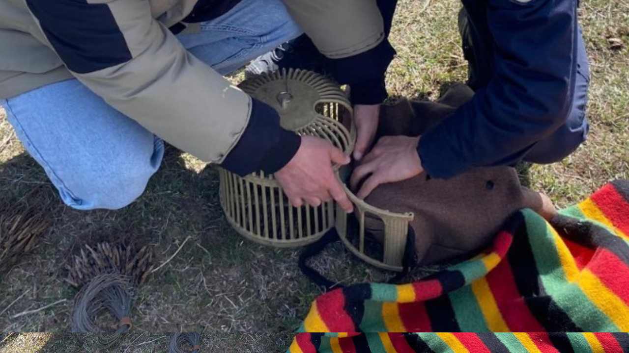 Kars'ta Kaçak Avcılara 593 Bin Lira Ceza
